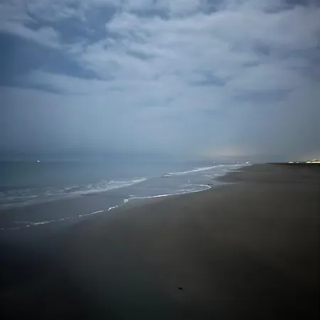 Landora 비비오네